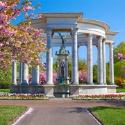 Cardiff Civic Centre