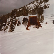 The 1982 Alpine Meadows Avalanche