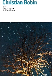 Pierre (Christian Bobin)