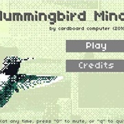 Hummingbird Mind