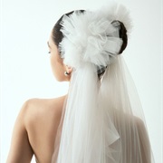 Poofs on Sides of Head, Veil Flowing From Them