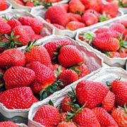 Portolas Strawberries
