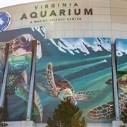 Virginia Aquarium and Marine Science Center