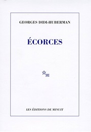 Écorces (Georges Didi-Huberman)