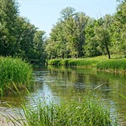 Middle Volga Integrated Biosphere Reserve, Russia