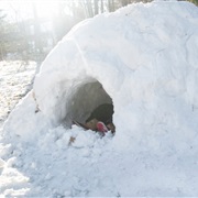 Build a Snow Fort