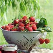 Eve Delight Strawberries