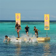 S49.E5: I'm a Wolf, Baby