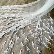 Veil Covered in Feathers