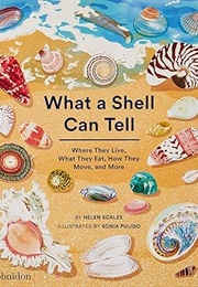 What a Shell Can Tell (Helen Scales)
