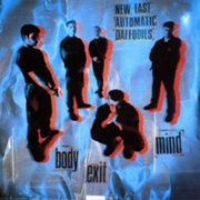 Stockholm - New Fast Automatic Daffodils