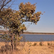 Marico Biosphere Reserve, South Africa