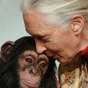 Death of Jane Goodal