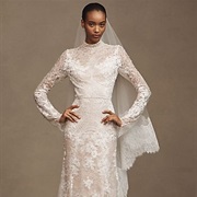 Lace Neckline and Sleeves