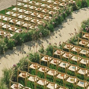 Meandering Aisle at Wedding