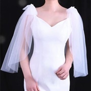 Bridal Wings on Dress