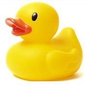 Rubber Ducky