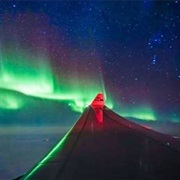 See the Northernlights From a Plane Window