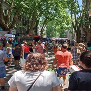 Feria De Tristán Narvaja