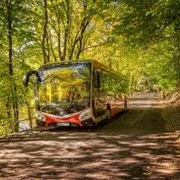 Forest Park, Bratislava