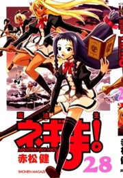 Negima! Magister Negi Magi, Vol. 28 (Ken Akamatsu)