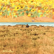 Facing Home Mixtape (2020)- FUR