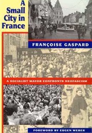 A Small City in France (Françoise Gaspard)