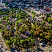 Alameda Central, Mexico City
