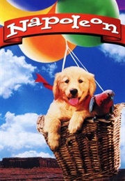 Napoleon (1995)