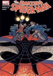 The Amazing Spider-Man #507 (J. Michael Straczynski & John Romita Jr.)