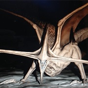 Bioraptor (Pitch Black)