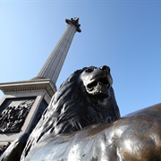 Nelson's Column and Trafalgar Lions, London