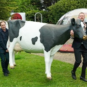 S13.E2: Birdy Hand Finger