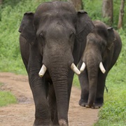 S2.E4: Freedom to Roam