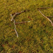 S4.E10: Did God Create Evolution