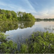 Bačko Podunavlje Biosphere Reserve, Serbia