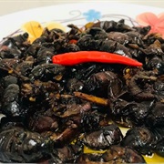Bombardier Beetle Stir-Fry