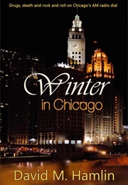 Winter in Chicago (David M Hamlin)