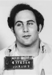 Conversations With a Killer: The Son of Sam Tapes (2025)