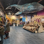 Seattle Children's Museum