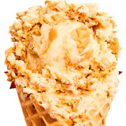 Bruster's Ice Cream Peanut Butter Cookie Made With Nutter Butter Ice Cream