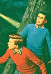 Frank and Joe Hardy (Various)