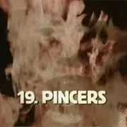 19. Pincers: August 1944-March 1945