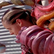 Andros and the Stowaway