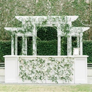 Trellis and Vines Bar