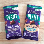 Plant-Based, Alternative Chocolate