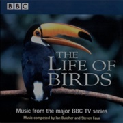 The Life of Birds Soundtrack