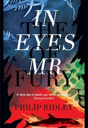 In the Eyes of Mr Fury (Philip Ridley)