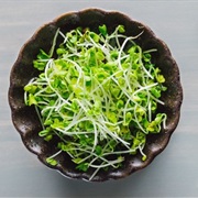 Broccoli Sprouts