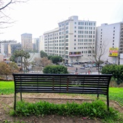 Los Angeles Bench (From 500 Days of Summer)